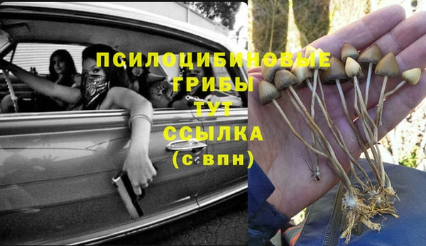 эйфоретик Костерёво