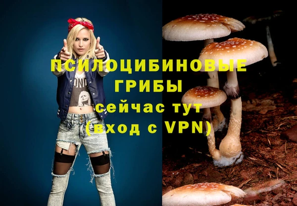 первитин Кодинск