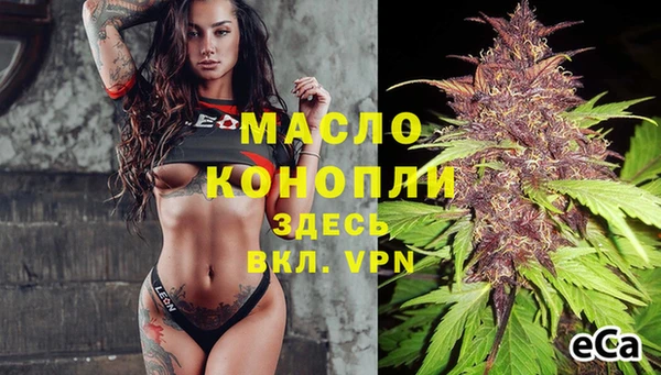 гидра Корсаков