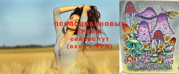 кокаин премиум Козловка