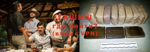 гидра Корсаков